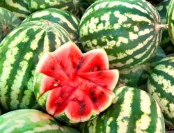 La Sagra dell'Anguria a Melpignano in Salento, uno degli eventi estivi in Puglia