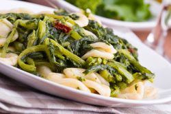 Le orecchiette alle cime di rapa sono le protagoniste assolute della Sagra delle Orecchiette a Caranna di Cisternino, Puglia.