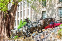La scultura di T.D. Kelsey dal titolo Coming Home to the Briscoe a San Antonio, Texas. Ritrae un mandriano che conduce i buoi del suo carro lungo il fiume Walk - © dshumny / Shutterstock.com ...