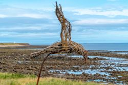 La scultura in salice di un uccello sulla spiaggia di Lindisfarne, Inghilterra.

