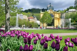 La Singing Water Fountain di Marianske Lazne, Repubblica Ceca. Si tratta di una piscina circolare di 18 metri di diametro con una scultura in pietra di 12 pezzi con fiori stilizzati e un centro ...