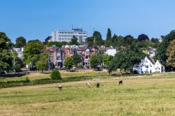 La skyline della città di Arnhem, Olanda, con il parco Sonsbeek in primo piano.
