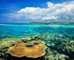 La spettacolare barriera corallina con l'isola di Gili Meno sullo sfondo, Indonesia.



