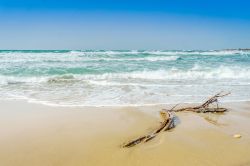La spiaggia adriatica di Frigole in Puglia, in una giornata di tramontana