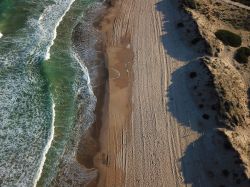 La Spiaggia de L'Arbre del Gos, si trova a sud del centro di Valencia in Spagna