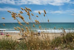 La Spiaggia de la Malladeta (La Devesa) a Valencia in Spagna

