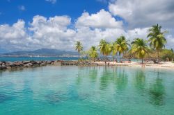 La spiaggia dell'ansa Mitan a Fort-de-France, Martinica. Panorama da cartolina per questo  litorale tropicale caraibico.


