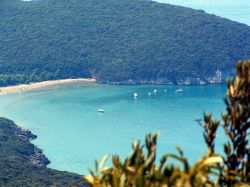 La spiaggia di Cala di Forno a sud-est di Marina di Alberese in Maremma, Toscana - © CC BY-SA 2.5, Wikipedia