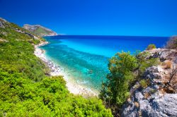 La spiaggia di Cala Fuili si trova lungo la costa di Cala Gonone in Sardegna