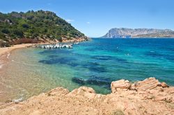 La spiaggia di Cala Suaraccia a San Teodoro in Sardegna, sullo sfondo la Tavolara