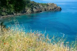 La spiaggia di Calamoresca a Piombino, provincia di Livorno, Toscana. E' una delle più spiagge cittadine della Val di Cornia, molto conosciuta e apprezzata dai turisti oltre che dai ...