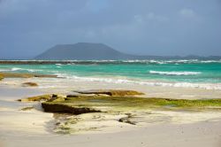 La spiaggia di Corralejo a Fuerteventura, Isole Canarie