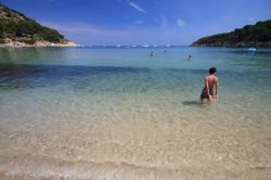 La spiaggia di Fetovaia all'isola d'Elba, con la sua sabbia di granito a grana grossa  - © Zocchi Roberto / Shutterstock.com