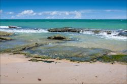 La spiaggia di Gunga nella città di Maceiò, stato di Alagoas, Brasile. Acque trasparenti con sfumature che vanno dal verde chiaro al turchese, piscine naturali e sabbia color dorato: ...