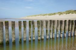 La spiaggia di Haamstede nel territorio della provincia di Zeeland, Paesi Bassi. Lungo la costa del mare del Nord si affacciano numerose spiagge più o meno attrezzate che nei mesi estivi ...