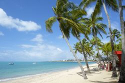 La spiaggia di Pajucara nella città di Maceiò, Alagoas, Brasile. Palme e palazzi sullo sfondo per questo tratto di litorale brasiliano.

