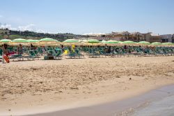 La spiaggia di Roseto degli Abruzzi (Abruzzo) con sdrai e ombrelloni. Questa località è nota anche come Lido delle Rose per la grande varietà di questo fiore - © wjarek ...