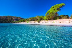 La spiaggia di Saleccia in Corsica 