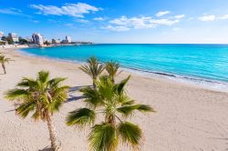 La spiaggia di San Juan di La Albufereta a Alicante, Spagna. Situato circa 6 km a nord-est della città, è uno dei più bei tratti di litorale della città.
