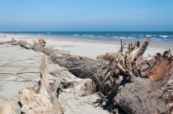 La Spiaggia di Scanno Cavallari a Porto Levante di Porto Viro, Delta del Po (Veneto)