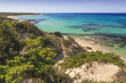 La spiaggia di.Torre Guaceto vicino a Serranova in Puglia