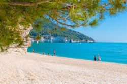 La spiaggia di Vignanotica nel Gargano si trova appena a nord di Baia delle Zagare, Puglia settentrionale - © elitravo / Shutterstock.com