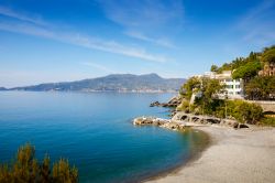 La spiaggia di Zoagli una delle spiagge più belle della Riviera di Levante in Liguria