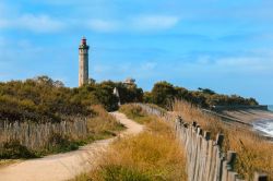 La spiaggia e la Torre delle Balene sull'isola di Ré, Francia. Questo grande faro nei pressi della costa dell'isola è immerso in una natura verde e rigogliosa.



