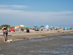 La spiaggia libera di Rosolina Mare in provincia ...