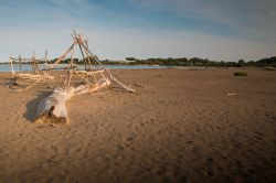 La spiaggia selvaggia di Porto Caleri vicino a Rosolina Mare, nel Veneto