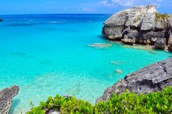 La splendida natura di Bermuda: acqua cristallina, affioramenti rocciosi e natura verdeggiante.


