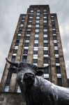 La statua del toro nella città di Durham, Carolina del Nord, USA. A realizzarla è stato lo scultore Leah Foushee  - © Michelle Dunlap / Shutterstock.com