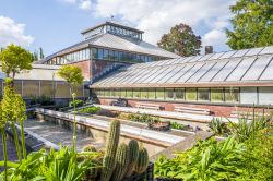 La storica greenhouse all'Orto Botanico di Leiden, Olanda. L'orto botanico di Leida è il più antico dei Paesi Bassi oltre che fra i più datati del mondo. Ospita, ...