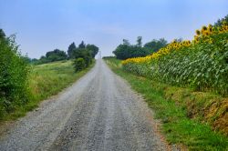 La strada che congiunge Vigolo Marchese con Carpaneto Piacentino in Emilia-Romagna