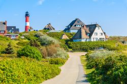 La strada che porta al faro nel villaggio di Hornum, sulla costa di Sylt, isola della Germania. Questa località rappresenta la città più a sud dell'isola.



