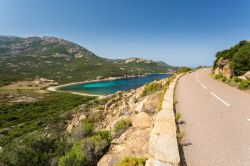 La strada costiera della Corsica occidentalie, vicino a Galeria