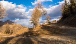 La strada verso Cima Panarotta (m 2002), sopra Levico Terme in Trentino