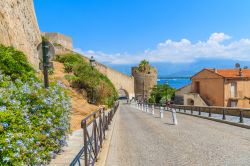 La stradina acciottolata che dalla cittadella di Calvi scende al porto, Corsica - © Pawel Kazmierczak / Shutterstock.com