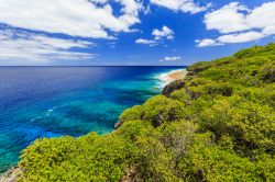 La suggestiva scogliera di Hikutavake a Alofi, Niue, Oceano Pacifico. Riparata da insenature rocciose che creano vasche costiere e con alle spalle una ricca vegetazione con piantagioni di cocco ...