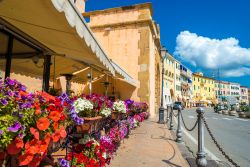 La terrazza fiorita di un ristorante nel centro di Portoferraio, isola d'Elba, Toscana.

