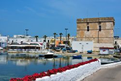 La Torre Cesarea a Porto Cesareo, provincia di Lecce (Puglia). Situata nella parte meridionale dell'abitato, questa torre di avvistamento è stata costruita con blocchi tufacei. Iniziata ...