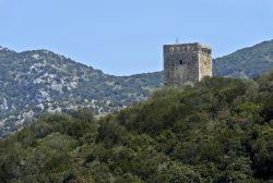 La torre di Collelungo nel Parco dell'uccellina ad Alberese in Toscana