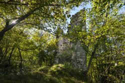 Immersa nella vegetazione a Lezzeno potete ammirare la Torre di Rozzo, una delle fortificazioni sul Lago di Como - © www.triangololariano.it