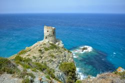 La torre genovese di Agnellu, nel comune di Rogliano in Corsica