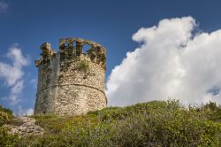 La torre genovese di Farinole su rilievi del Cap Corse in Corsica