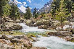 Le meraviglie della natura sul corso della Restonica, in Corsica - la Valle della Restonica è considerata una delle meraviglie della Corsica, oltre che Gran Sito Nazionale a partire dal ...