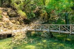 La Valle delle Farfalle (Peta Loudhes) a Rodi - © ian woolcock / Shutterstock.com