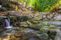 La valle delle sette sorgenti 'Epta Piges' una delle attrazioni naturali più belle di Rodi- © ian woolcock / Shutterstock.com