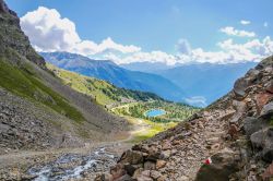 La valle di Pejo vista dall'omonimo monte, Trentino Alto Adige. Nel cuore del Parco Nazionale dello Stelvio, la valle di Pejo offre una vacanza rilassante e affascinante in un'oasi naturale ...