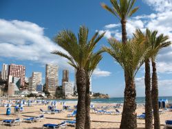 La vasta spiaggia attrezzata di Benidorm si trova nella Regione di Valencia, nella Spagna orientale - © Bjean morrison / Shutterstock.com